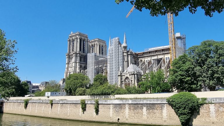 Incendie de Notre-Dame de Paris : casting pour la nouvelle « forêt »