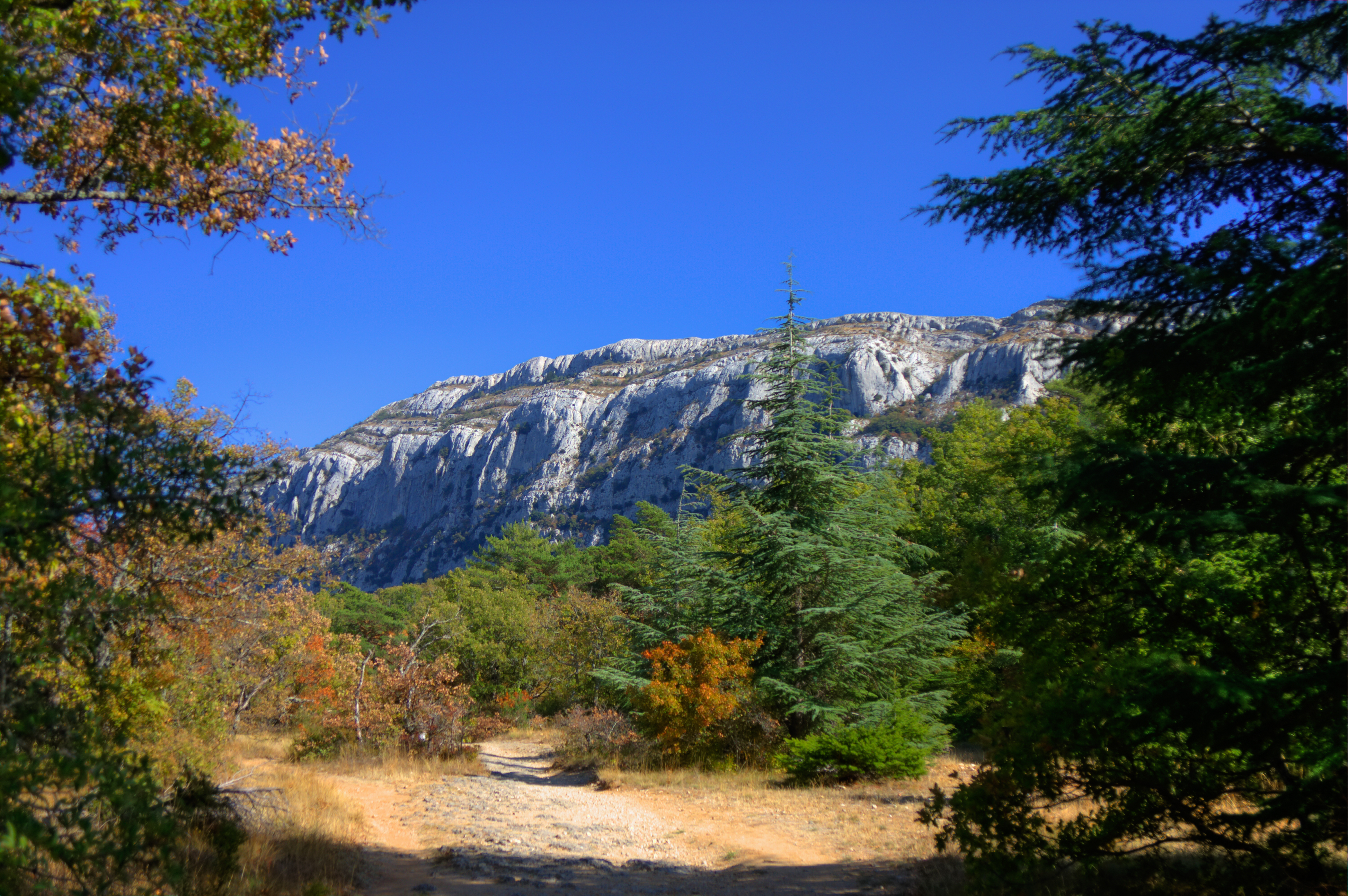 Montagne de Sainte-Baume