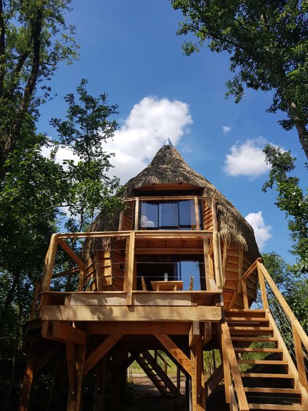 Cabane dans les arbres pour des vacances perchées