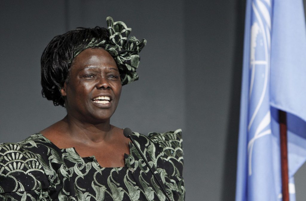 Wangari Maathai ONU 2009