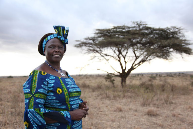 Wangari Maathai, la femme qui plantait des arbres