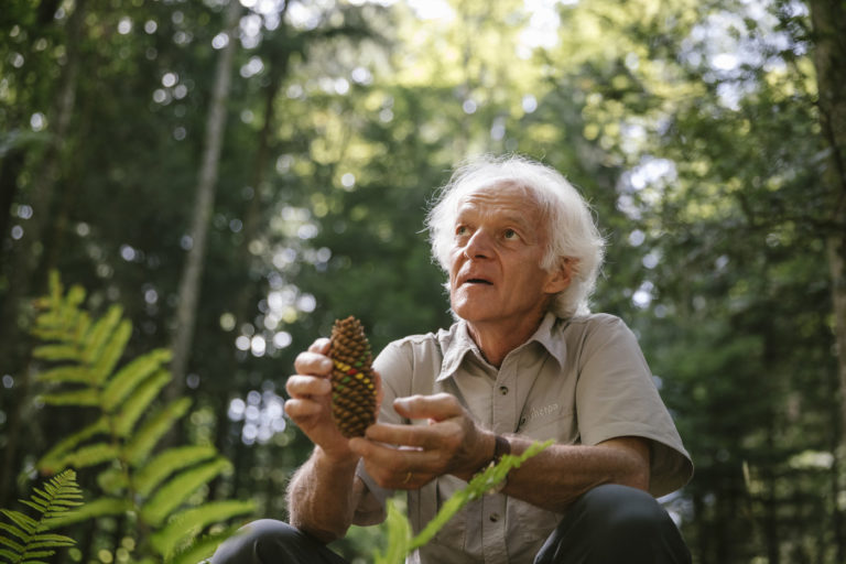 Ernst Zürcher, la générosité des forêts