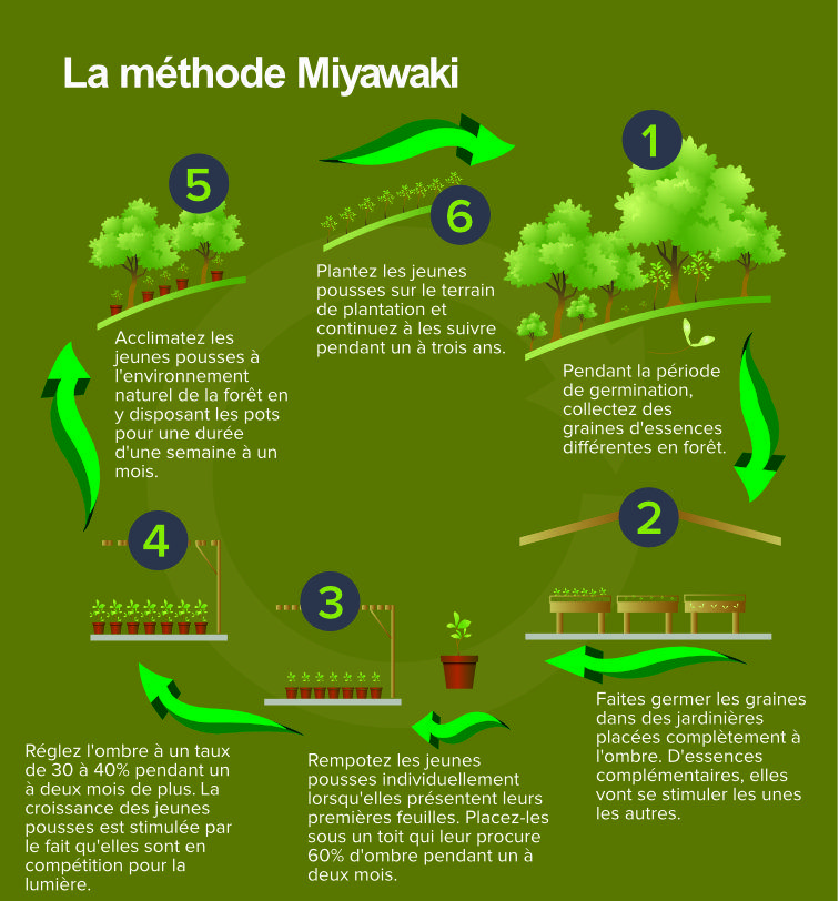 méthode Miyawaki - Akira Miyawaki