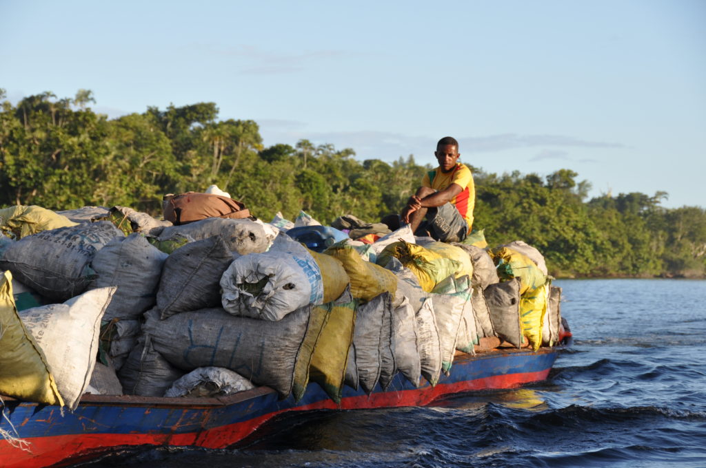 Oliver Behra photo. Le commerce de charbon est la principale menace pour les forêts environnant la ville de Toamasina au Nord-Est de Tananarive la capitale  de Madagascar.