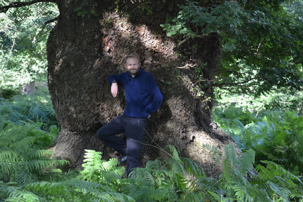 David Happe au pied d'un chêne massif