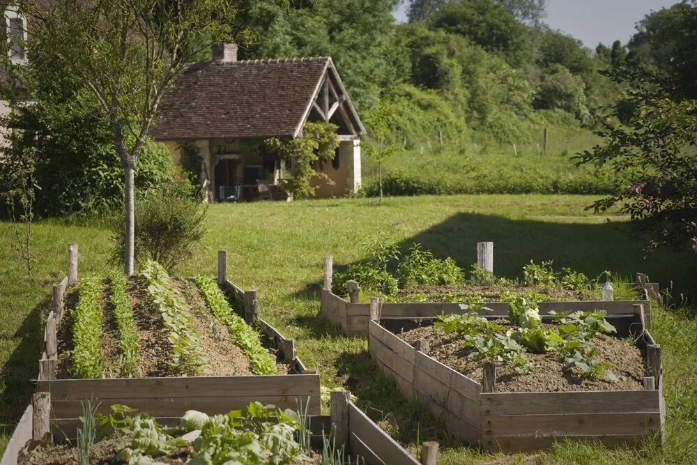 culture sur butte, du Jardin du Moulin de Vaujours