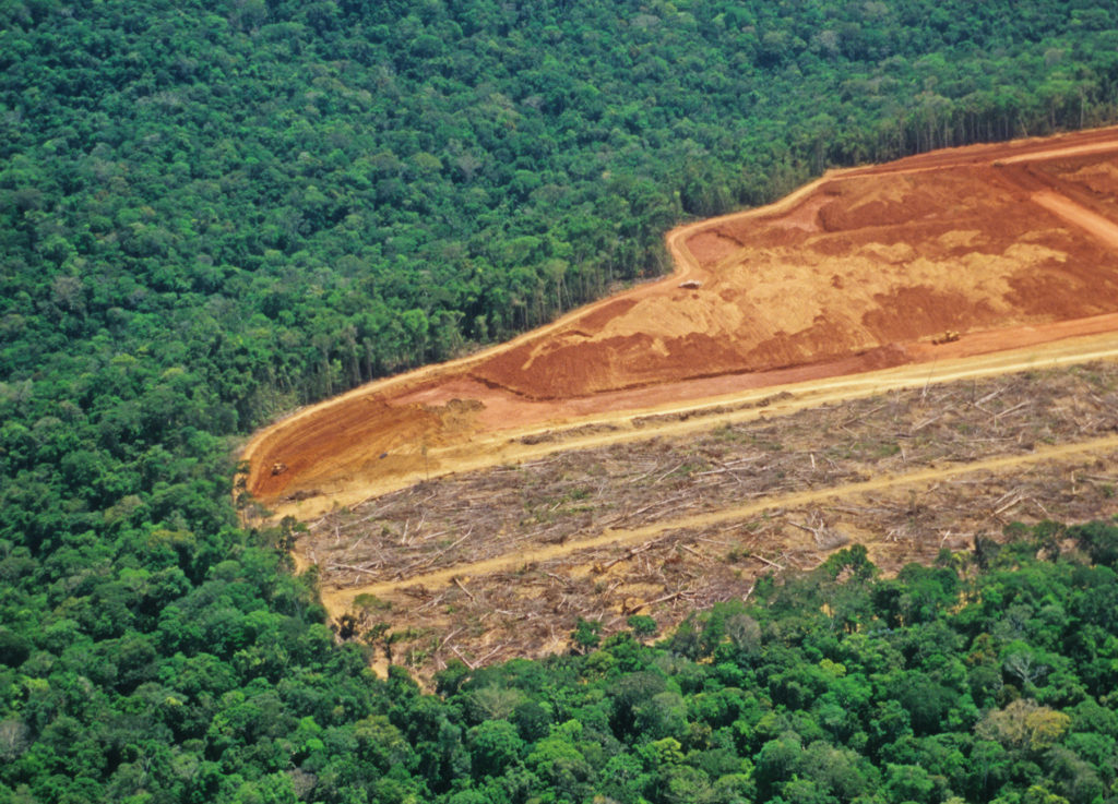 Déforestation dans la forêt amazonienne.